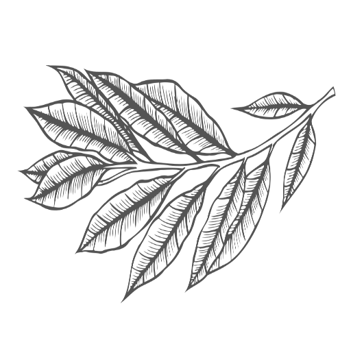 hickory-restaurant-bar-menu