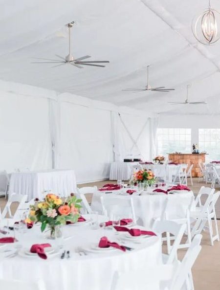 075da2cb-4fc2-46bb-b2a4-82c78904d8f0sc_1016-1-e1722273473734